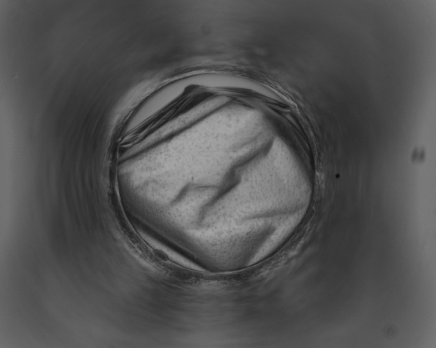 X0000090970149200708241323