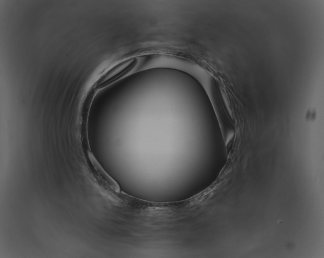 X0000090970150200708241323