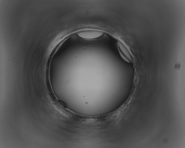 X0000090970151200708241323