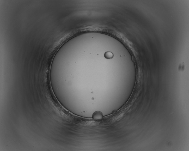 X0000090970153200708241323