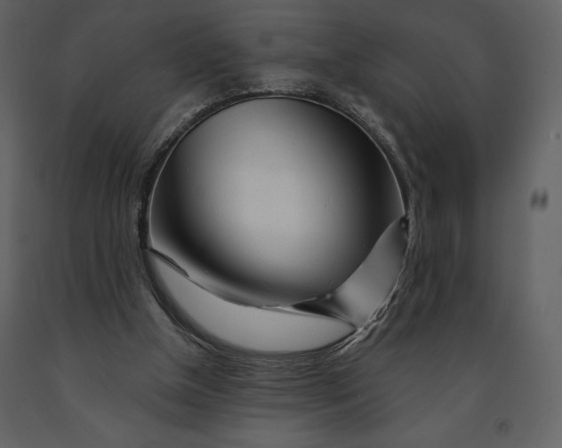 X0000090970154200708241323