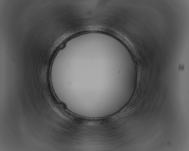 X0000090970155200708241323