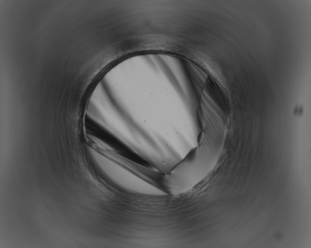 X0000090970156200708241323