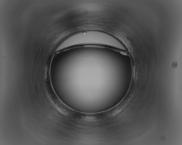 X0000090970157200708241323