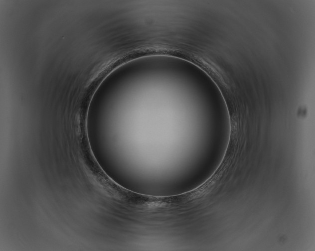 X0000090970158200708241323