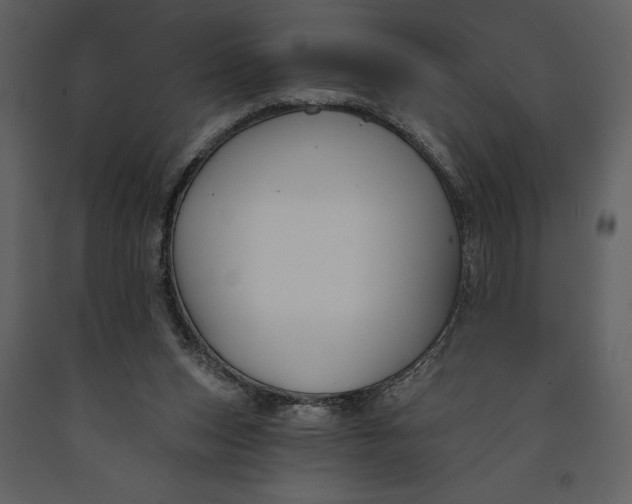 X0000090970159200708241323