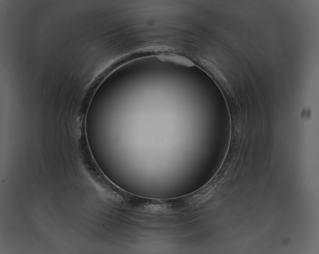 X0000090970160200708241323