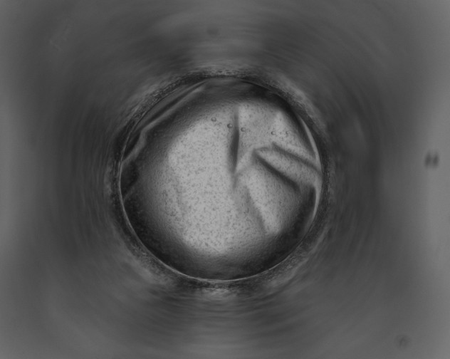 X0000090970161200708241323