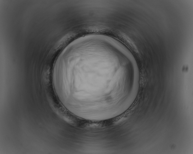 X0000090970163200708241323