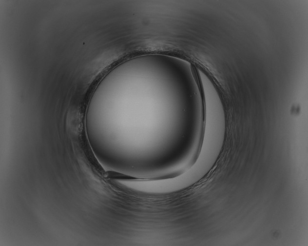 X0000090970164200708241323