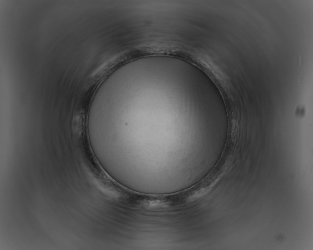 X0000090970165200708241323