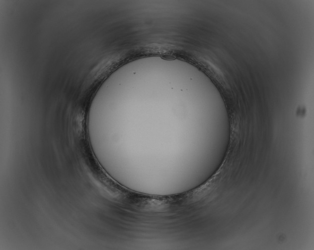 X0000090970166200708241323