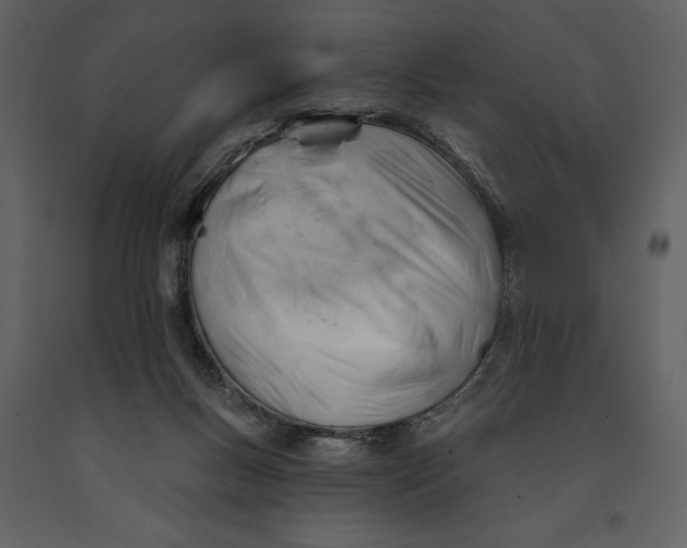 X0000090970167200708241323