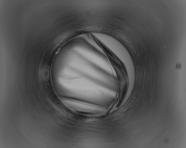 X0000090970168200708241323