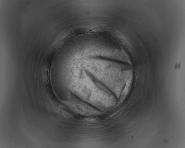 X0000090970169200708241324