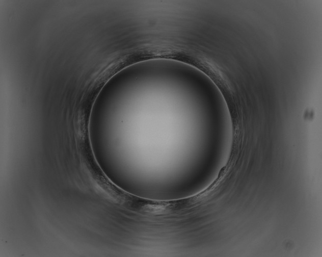 X0000090970170200708241324