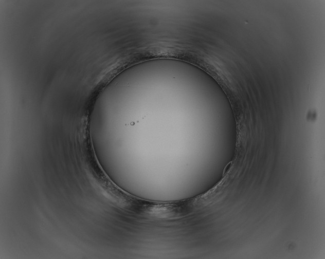 X0000090970171200708241324