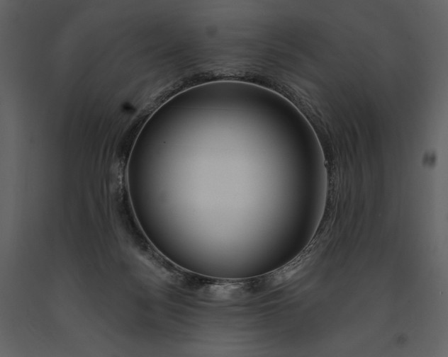 X0000090970172200708241324