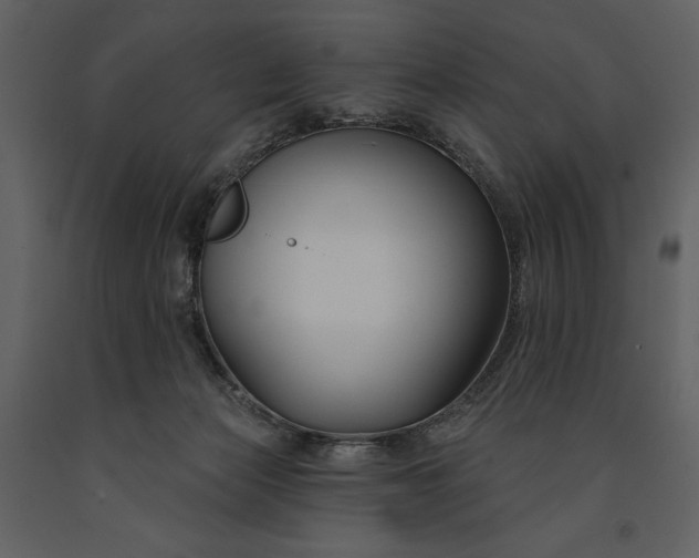 X0000090970173200708241324