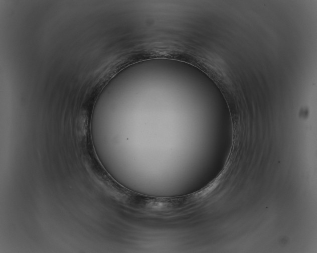 X0000090970174200708241324