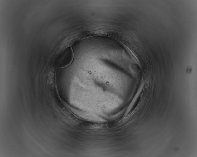 X0000090970175200708241324