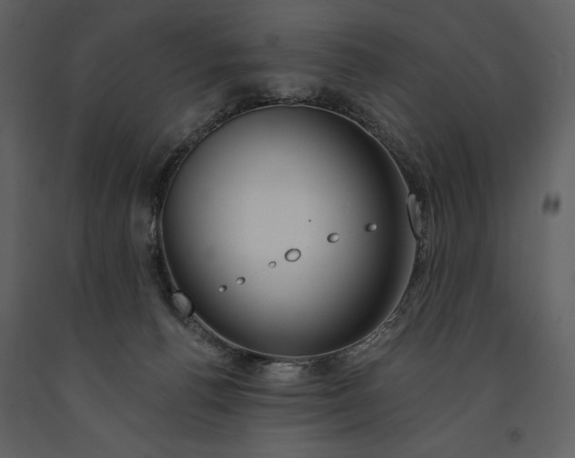 X0000090970176200708241324