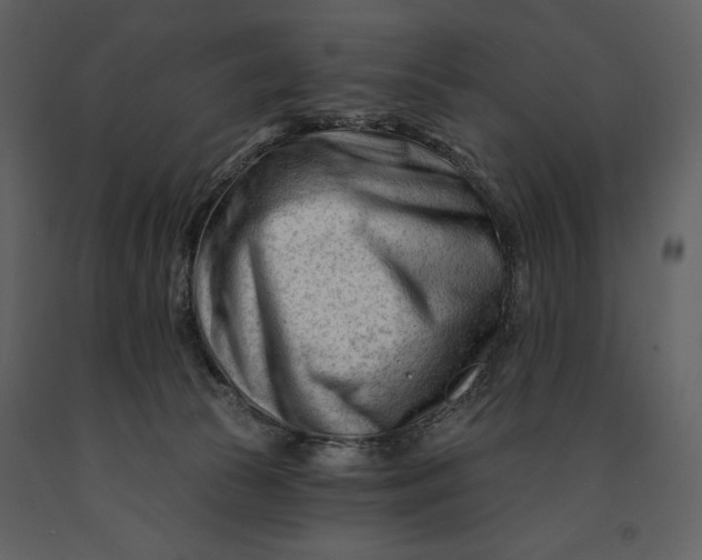 X0000090970177200708241324