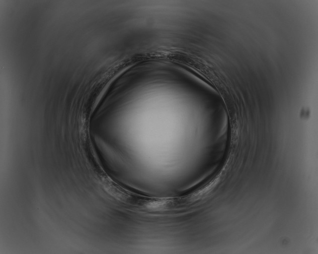 X0000090970178200708241324