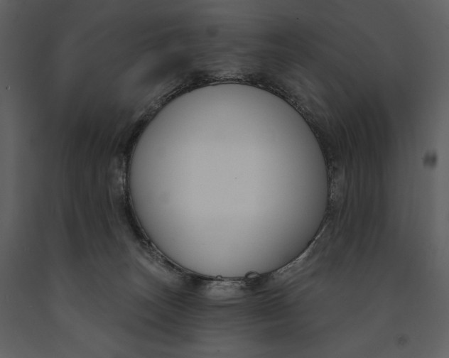 X0000090970179200708241324