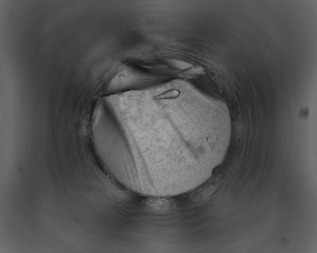 X0000090970181200708241324