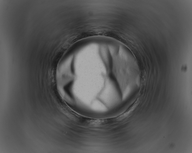 X0000090970182200708241324