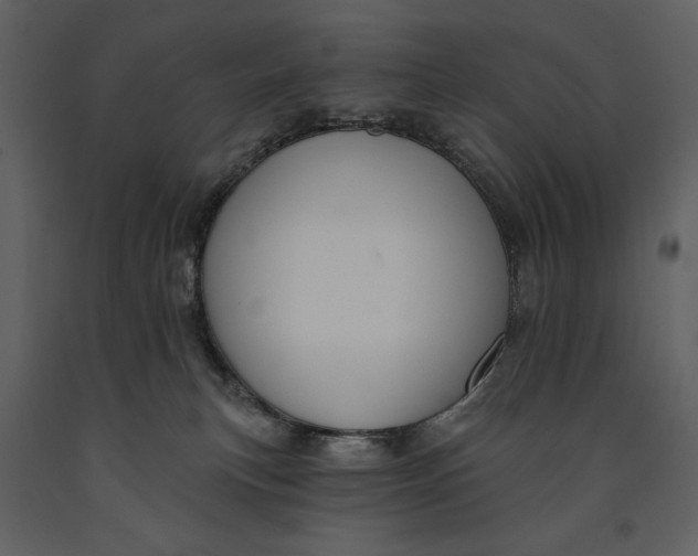 X0000090970183200708241324