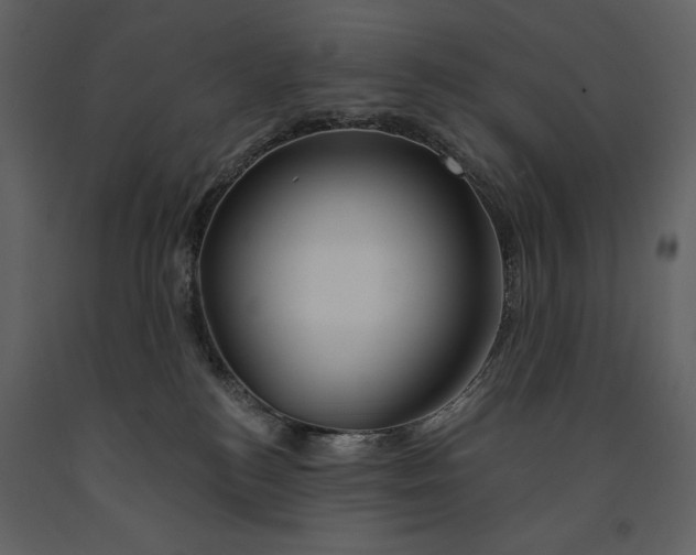 X0000090970184200708241324