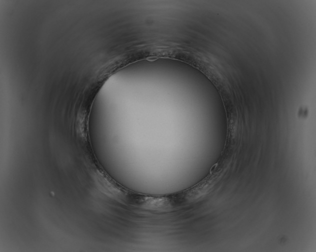 X0000090970185200708241324