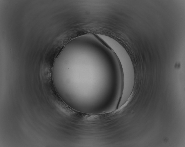 X0000090970186200708241324