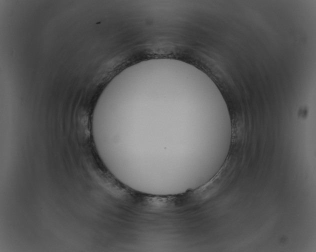 X0000090970187200708241324