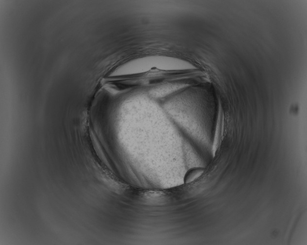 X0000090970189200708241324