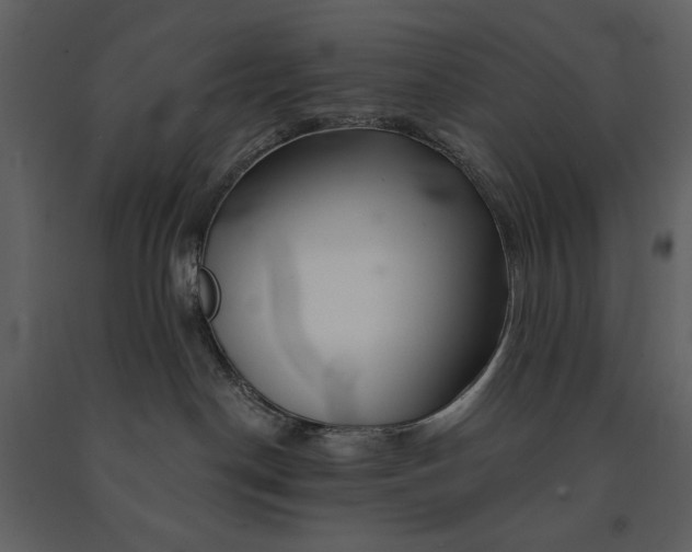 X0000090970190200708241324