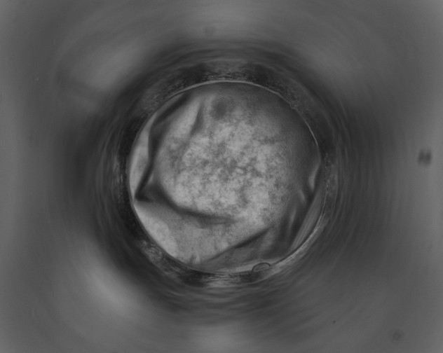 X0000090970191200708241324