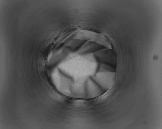 X0000090970192200708241324