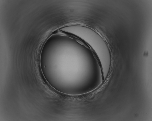 X0000090970193200708241323