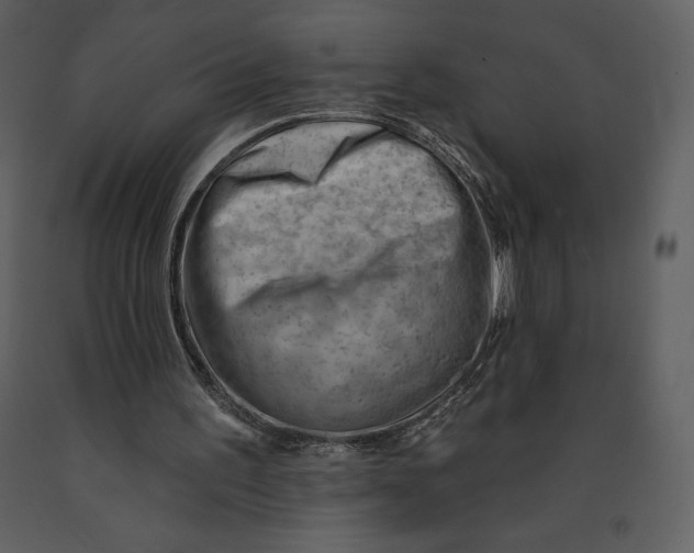 X0000090970195200708241323