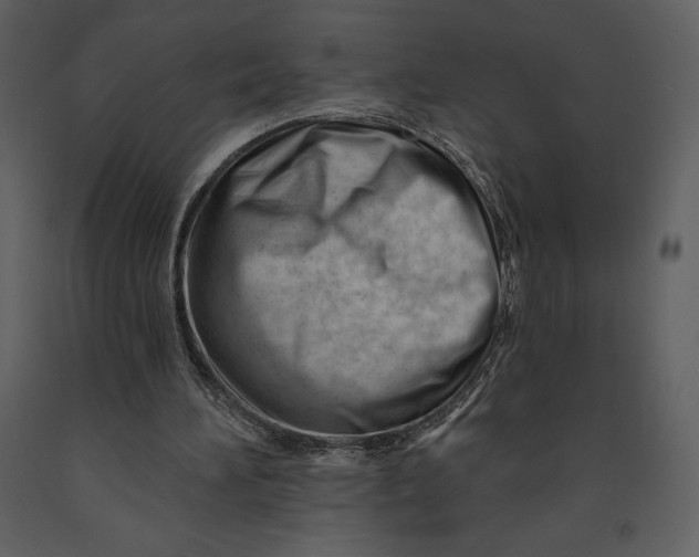 X0000090970196200708241323