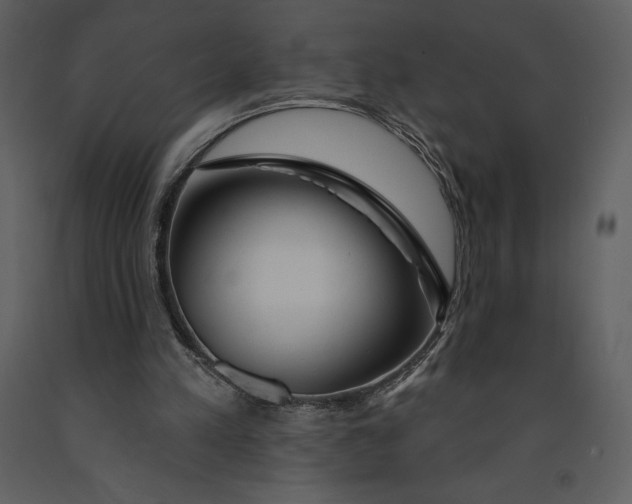 X0000090970197200708241323