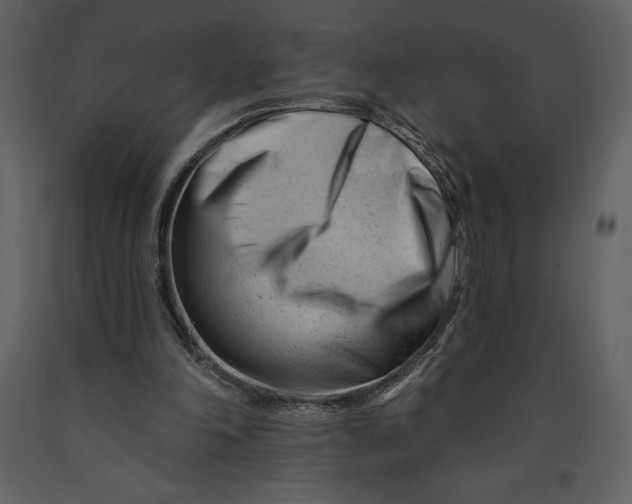 X0000090970198200708241323