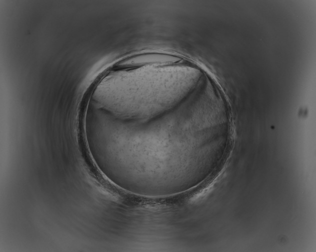 X0000090970199200708241323