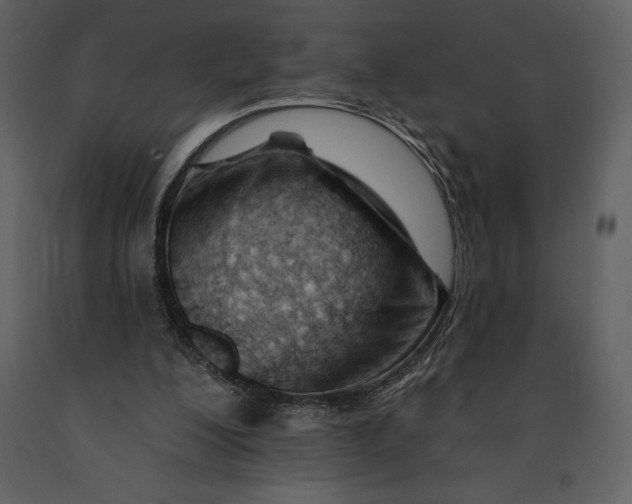 X0000090970200200708241323