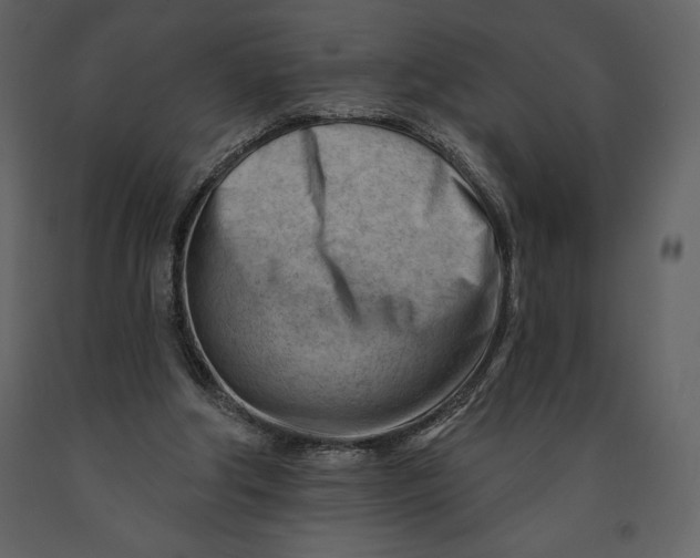 X0000090970202200708241323