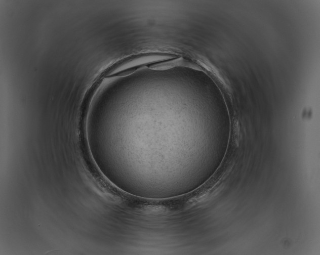 X0000090970203200708241323