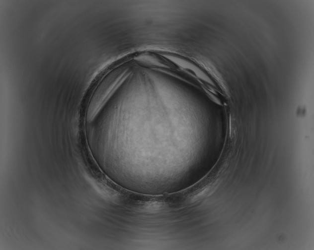 X0000090970204200708241323